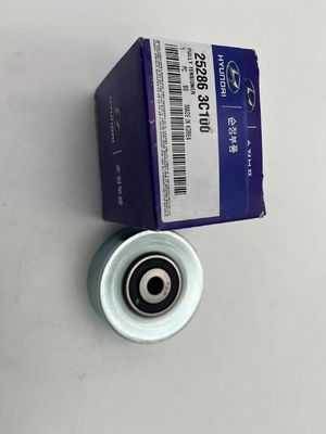 Taut-Gürtel-Rolle 252863C10025286-3L000 Stempelverfahren für schwere Anwendungen